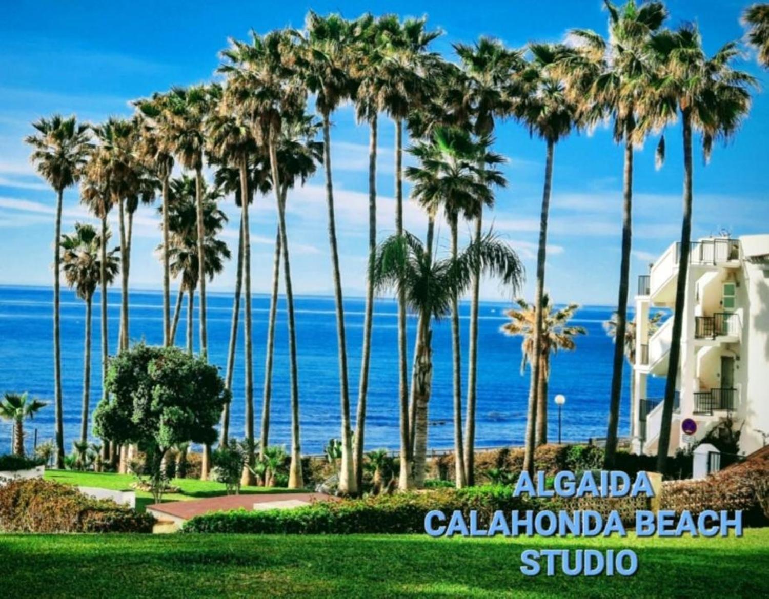 Nuevo! Algaida Calahonda Beach Studio Sitio de Calahonda Exterior foto